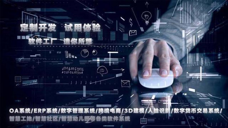 软件开发市场新风向:重庆引领创新潮流